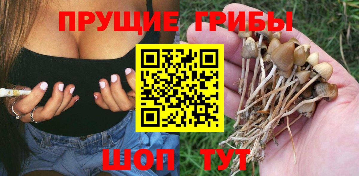 Кимовск  цены наркотик  Вход с VPN  Галлюциногенные грибы MAGIC MUSHROOMS  Галлюциногенные грибы Cubensis 