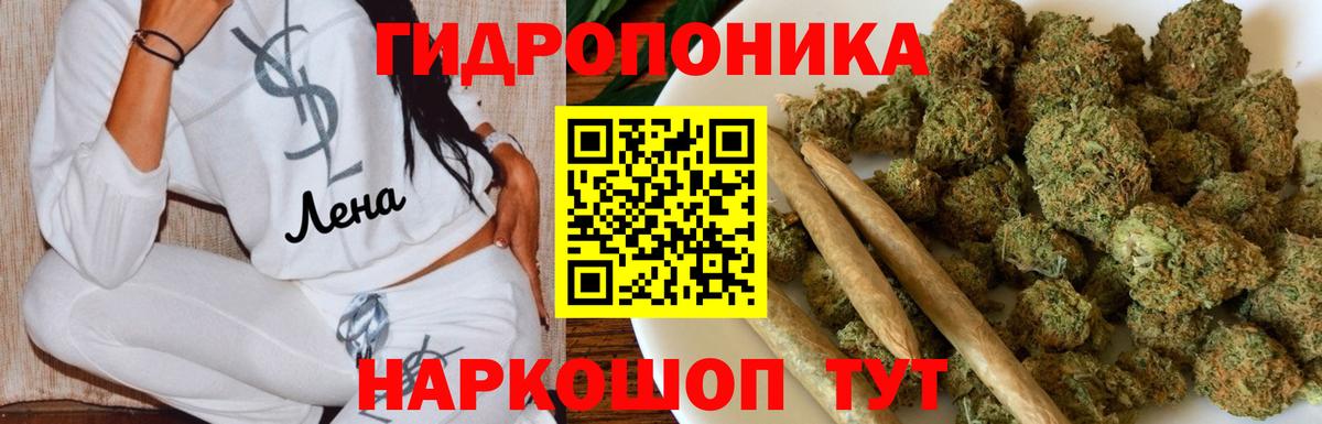 Конопля конопля Кимовск